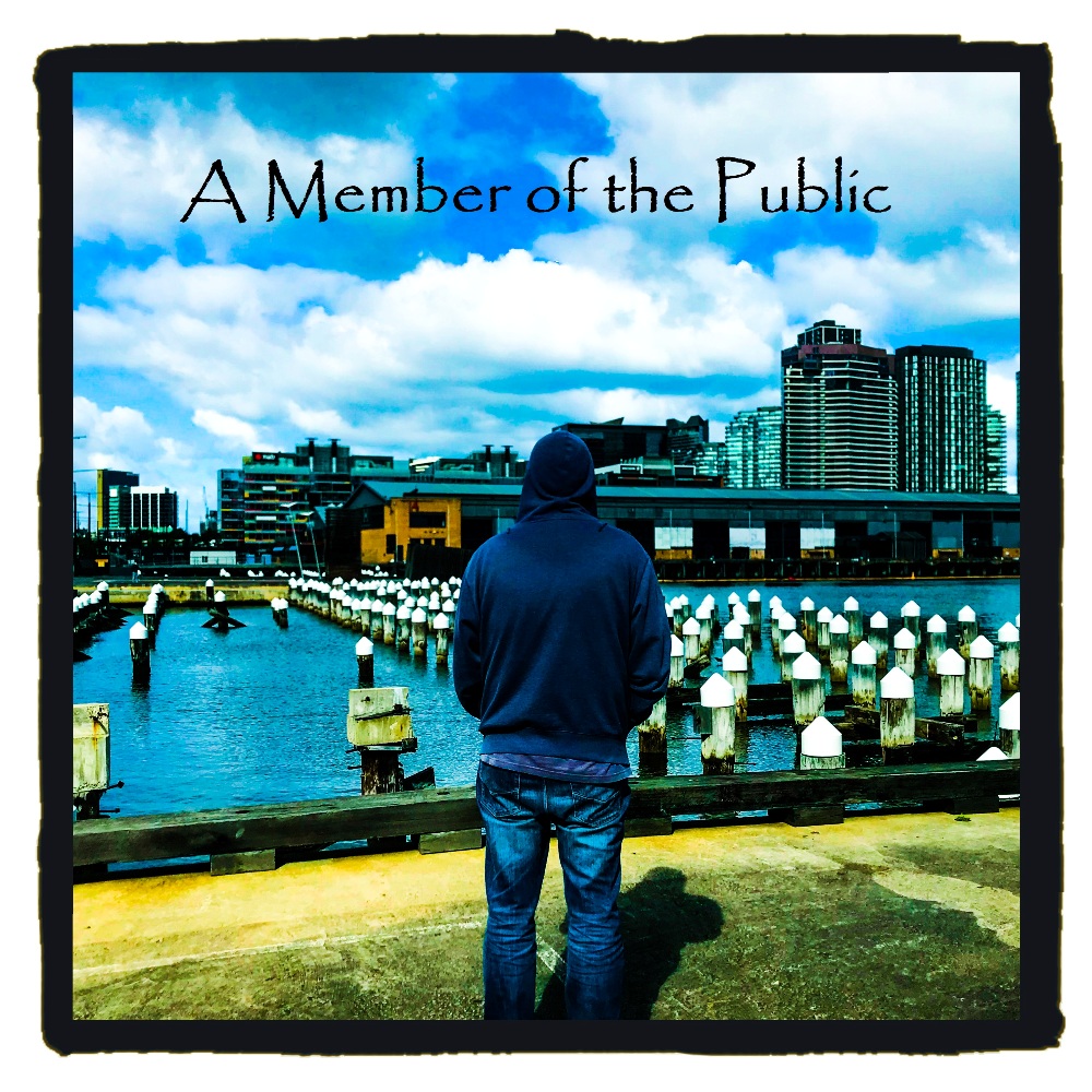 A Member of the Public